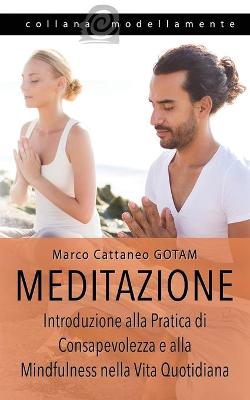 Book cover for Meditazione