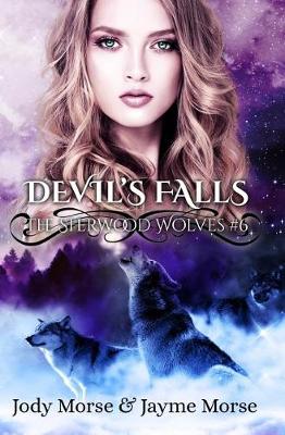 Book cover for Devil's Falls