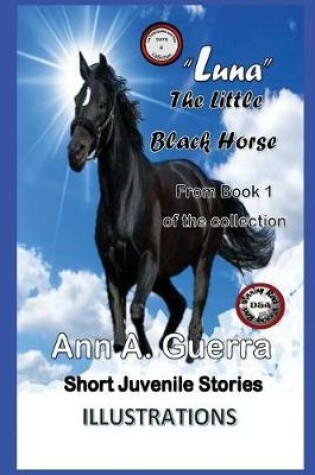 Cover of "Luna" The Little Black Horse