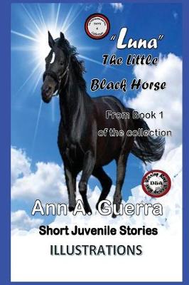 Cover of "Luna" The Little Black Horse