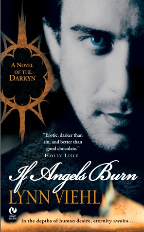 Book cover for If Angels Burn