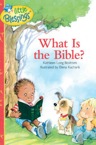Cover of What Is the Bible?