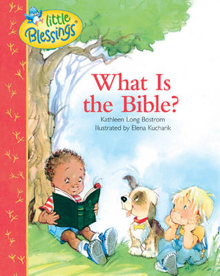 Book cover for What Is the Bible?