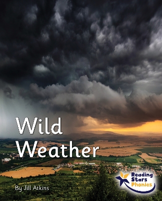 Book cover for Wild Weather