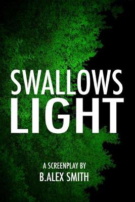Book cover for Swallows Light