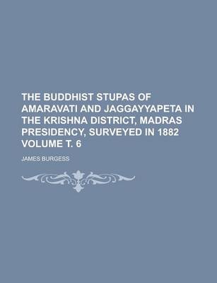 Book cover for The Buddhist Stupas of Amaravati and Jaggayyapeta in the Krishna District, Madras Presidency, Surveyed in 1882 Volume . 6