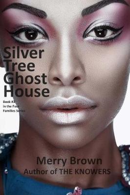 Book cover for Silver Tree Ghost House