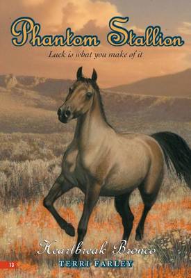 Book cover for Phantom Stallion #13: Heartbreak Bronco