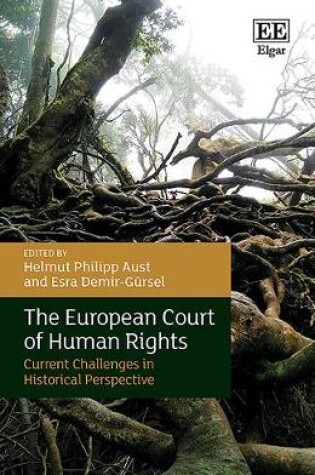 Cover of The European Court of Human Rights