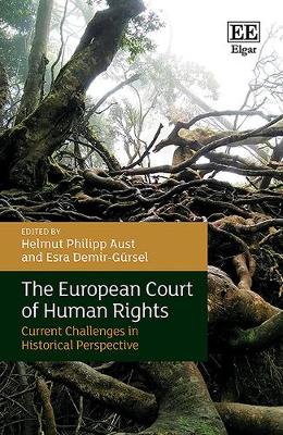 Book cover for The European Court of Human Rights