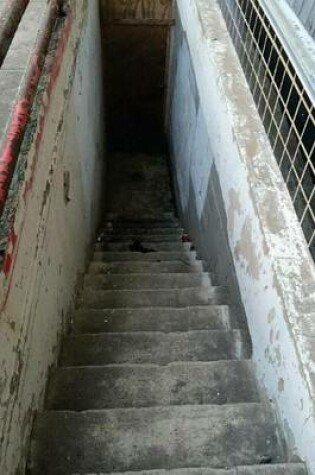 Cover of Creepy Downtown Stairwell