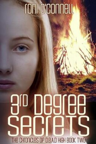 Cover of 3rd Degree Secrets