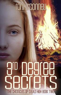 Cover of 3rd Degree Secrets