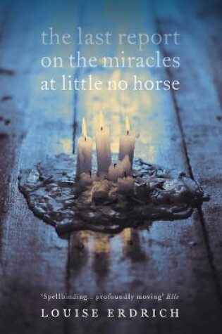 Cover of The Last Report on the Miracles at Little No Horse