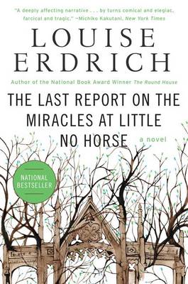 Book cover for The Last Report on the Miracles at Little No Horse