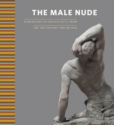Book cover for Male Nude