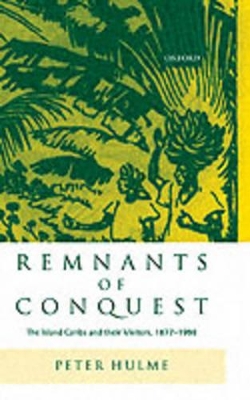 Book cover for Remnants of Conquest