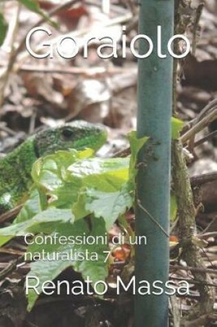 Cover of Goraiolo