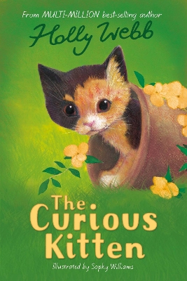 Cover of The Curious Kitten