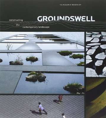 Book cover for Groundswell