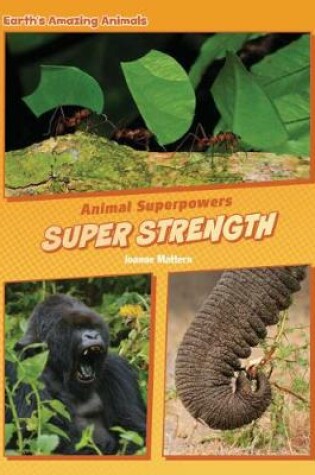 Cover of Super Strength