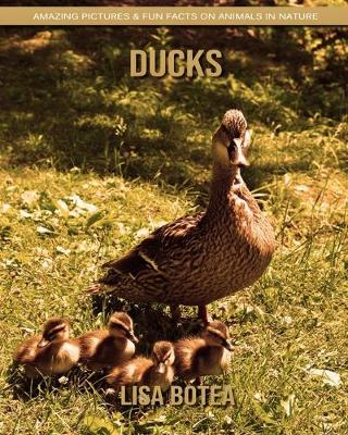 Book cover for Ducks