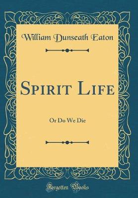 Book cover for Spirit Life