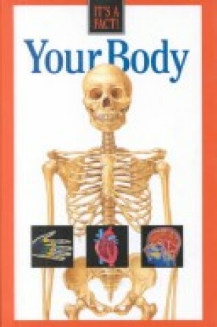 Cover of Your Body