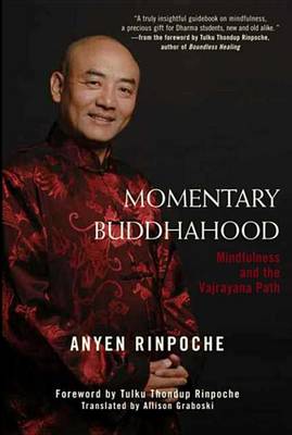 Book cover for Momentary Buddhahood