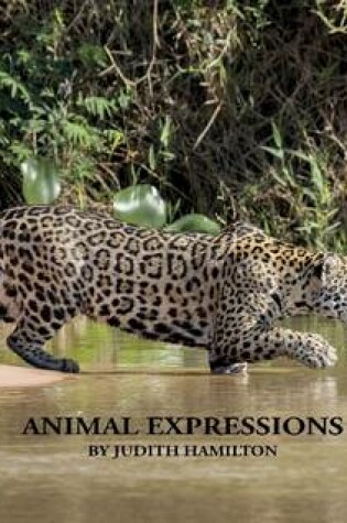 Cover of Animal Expressions