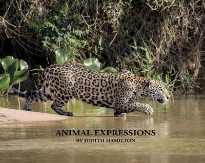 Book cover for Animal Expressions