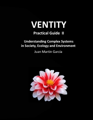 Book cover for VENTITY Practical Guide II