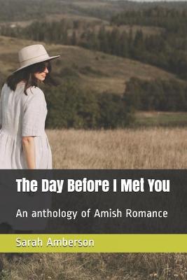 Book cover for The Day Before I Met You
