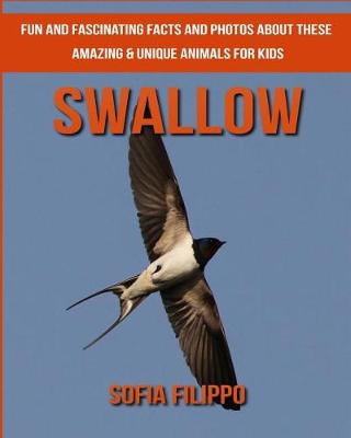 Book cover for Swallow