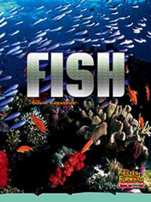 Book cover for Fish