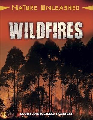 Book cover for Nature Unleashed: Wildfires