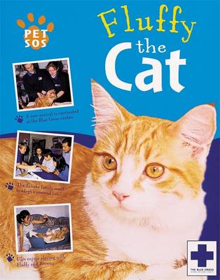 Cover of Fluffy the Cat