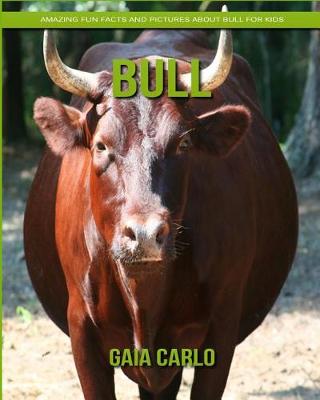 Book cover for Bull