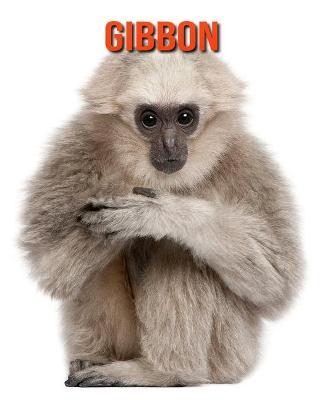 Book cover for Gibbon