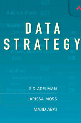 Cover of Data Strategy