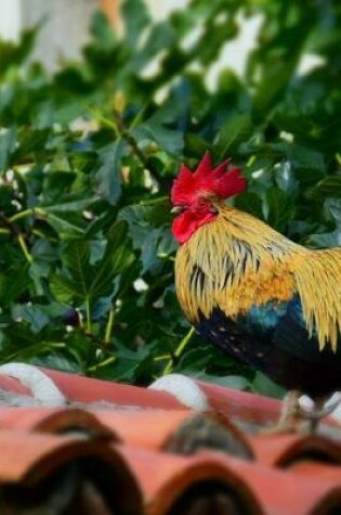 Cover of Brightly Colored Rooster on a Roof Journal