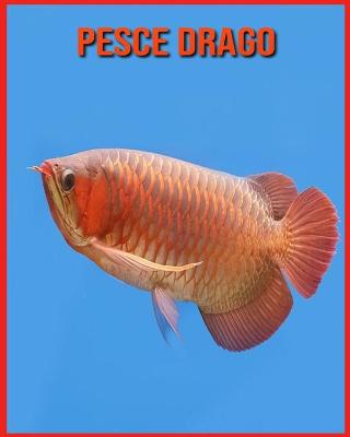 Book cover for Pesce Drago