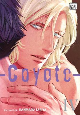 Book cover for Coyote, Vol. 4