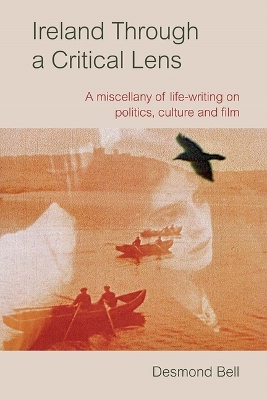 Book cover for Ireland Through a Critical Lense