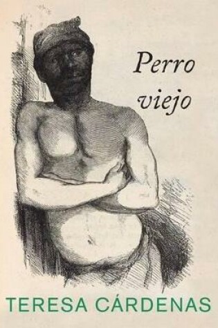 Cover of Perro Viejo