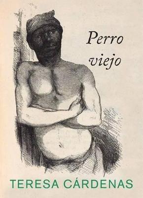 Book cover for Perro Viejo