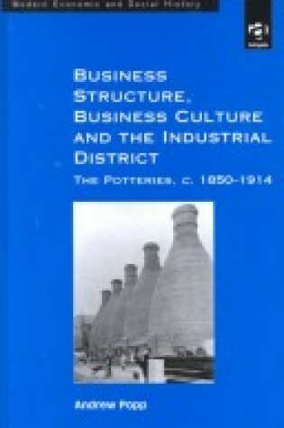 Cover of Business Structure, Business Culture and the Industrial District