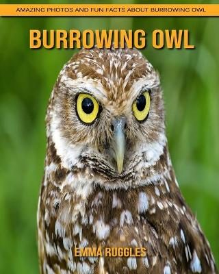 Book cover for Burrowing Owl