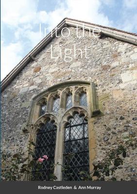 Book cover for Into the Light