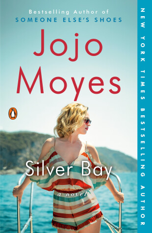 Book cover for Silver Bay